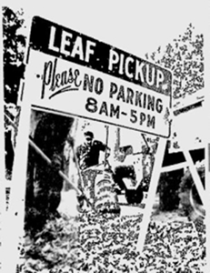 Leaf Pickup No Parking Sign
