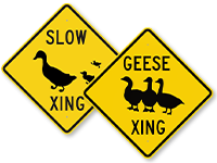 Duck Crossing Signs