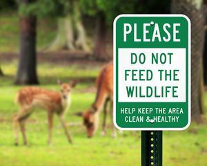 Campground Safety Sign