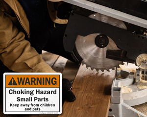 Warning Choking Hazard Tag
