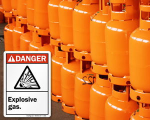 Danger Ansi Label