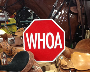 Funny stop shaped whoa sign