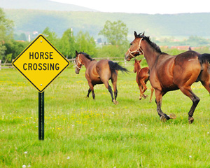 Horse crossing signs