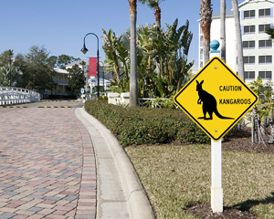 Animal crossing signs