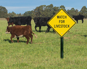Livestock warning sign