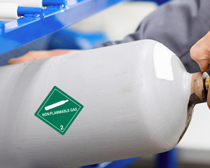 Non Flammable Gas Sign