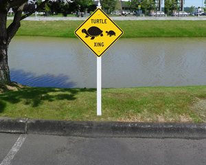 Turtle Xing Crossing Signs