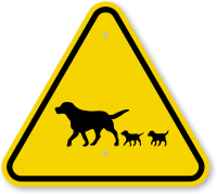 ISO  Warning Sign