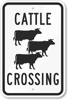 Cattle  (with Graphic)