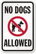 No Dogs Allowed Sign (with Graphic)